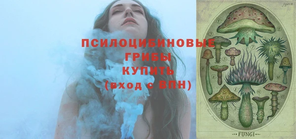 молекула духа Саяногорск
