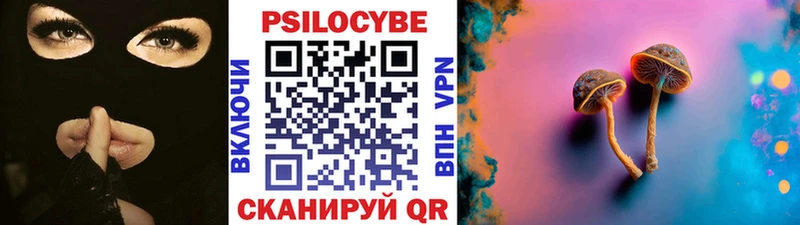 Купить закладки  Светлоград  Галлюциногенные грибы Cubensis 