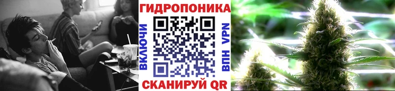 Конопля MAZAR  Купить где  Светлоград 